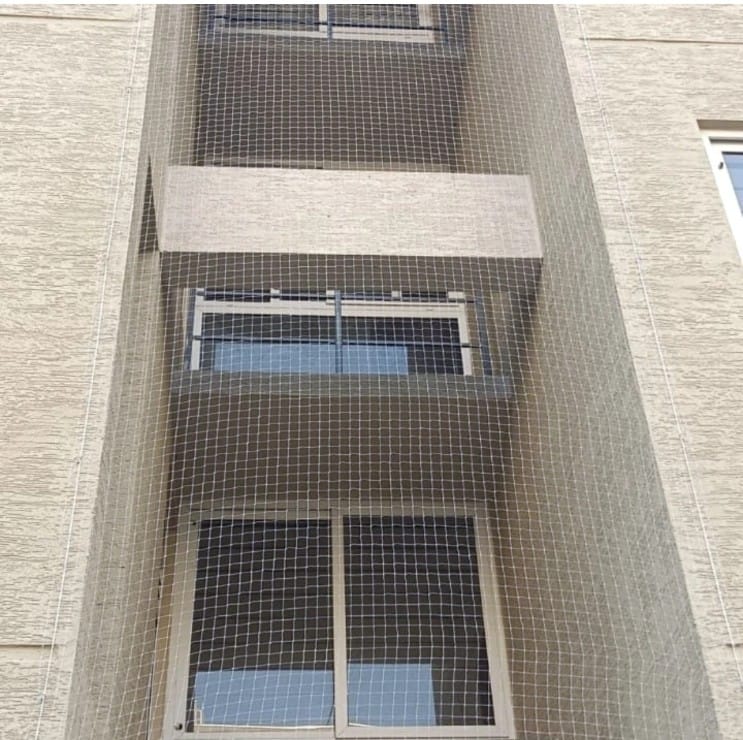 Gallery 4